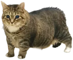 :Ethel: