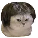 :Chat_brushing: