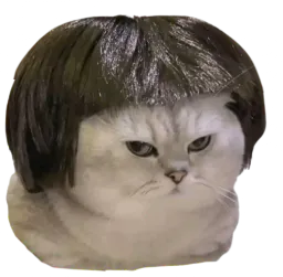 :Chat_brushing: