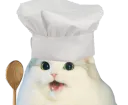:cattocuistot: