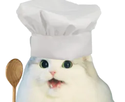 :cattocuistot: