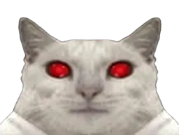 :Chat-Cru8: