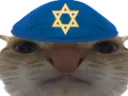 :choahchak: