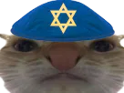 :choahchak: