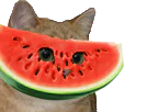:Sodium_pasteque2: