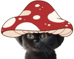:champichat: