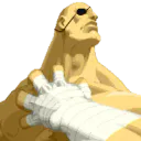 Sagat