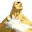 Photo de profil de Sagat