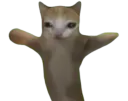 :Mimix: