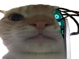 :cyborgchak2: