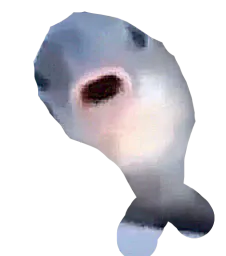 :Poisson_chelou: