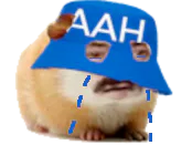 :hamster_aah_pleur: