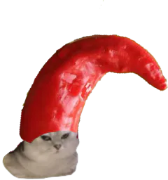 :Chat_piment:
