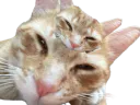 :Double_chat:
