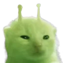 :Glorp: