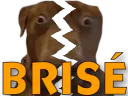 :teddibrise: