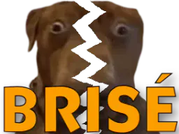 :teddibrise:
