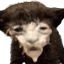 :Chat_horrible: