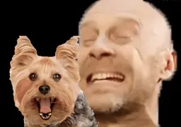 :AlainPoupetoGif: