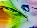 :eden_foncede: