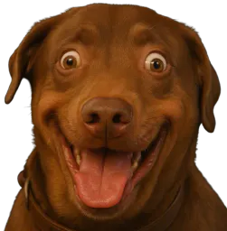 :teddideumeureb: