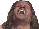 :conan_ahi: