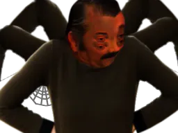 :araignee_oh: