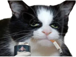 :chat_dechet: