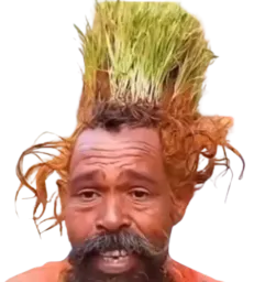 :riz: