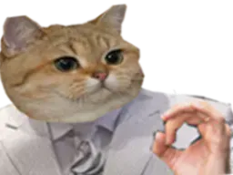 :chat_costume_blanc: