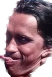 :Schwarzenigger: