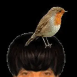 :Oiseaux_puceau: