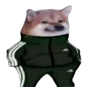 :slavCheebs: