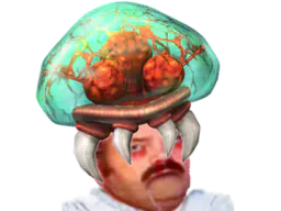 :meduse_cerveau: