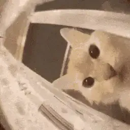 :jtebouffe: