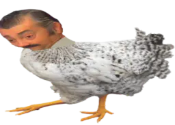 :Poule_cuck: