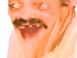 :Risifallaitposterfdp: