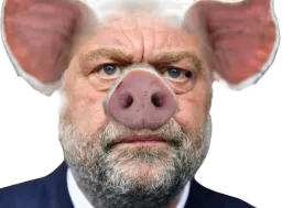 :DuconMoretti: