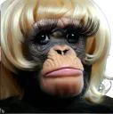 :BribriGuenon: