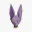 Photo de profil de Beerus
