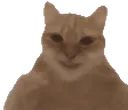 :chatangle2: