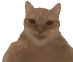 :chatangle2: