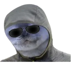 :Silencedeter_Cool: