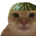 ChatFouroumeur