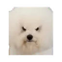 :Chientourne: