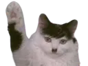 :Chazi: