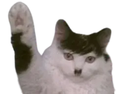 :Chazi: