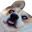 Photo de profil de medecinlegiste