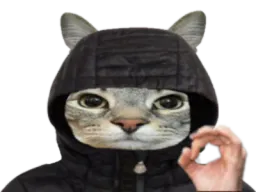 :CS_Explique: