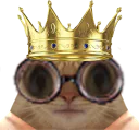 :ChatRoiLunettes: